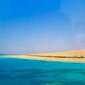 Meet your Posher, Cameron